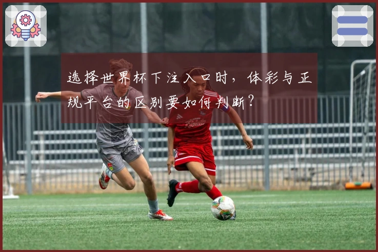选择世界杯下注入口时,体彩与正规平台的区别要如何判断?