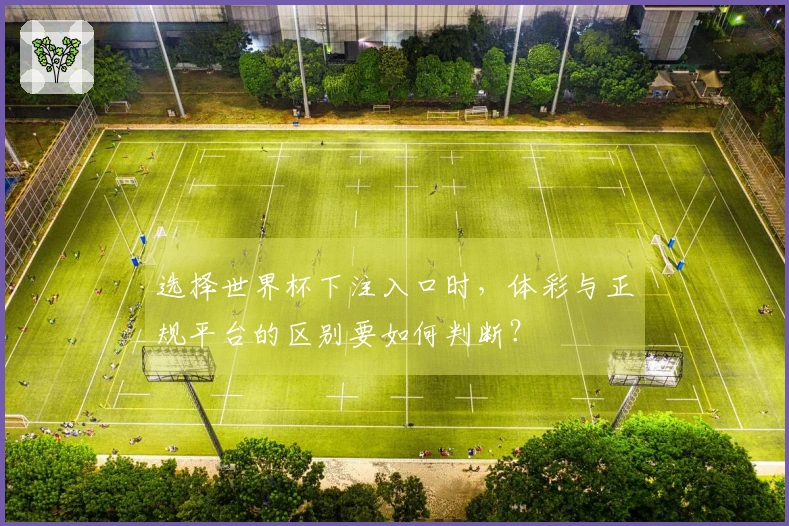 选择世界杯下注入口时，体彩与正规平台的区别要如何判断？