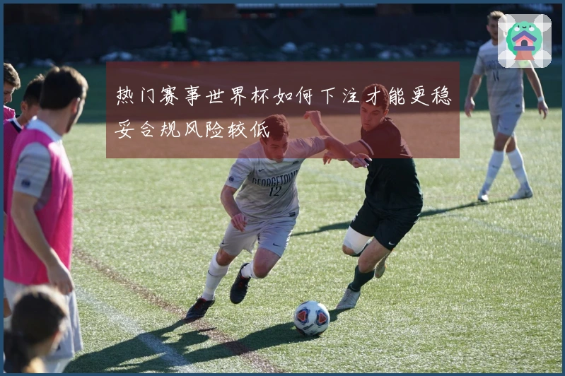 热门赛事世界杯如何下注才能更稳妥合规风险较低