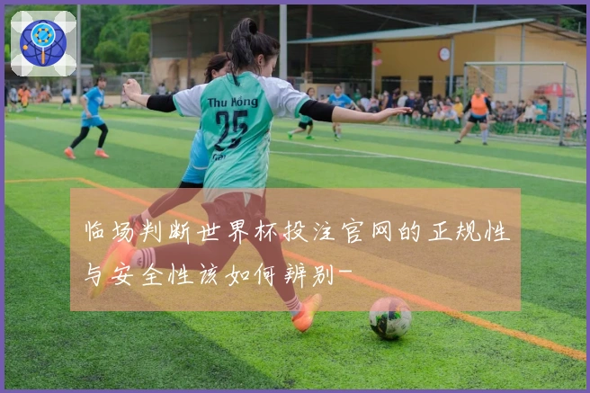 临场判断世界杯投注官网的正规性与安全性该如何辨别-